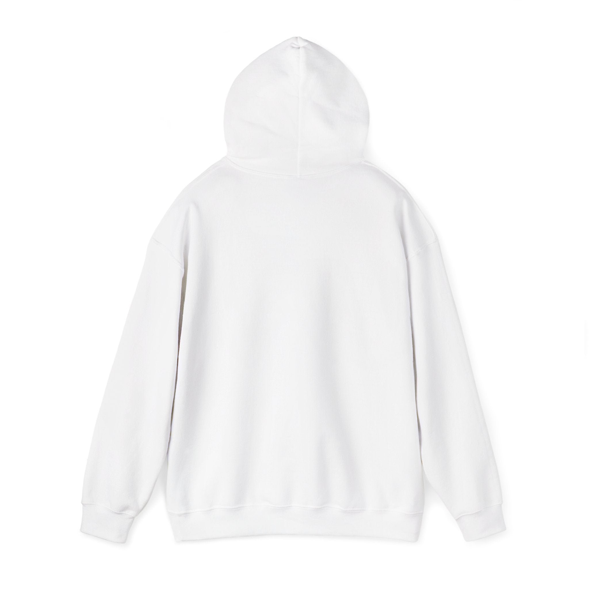 Bernedoodle Pullover Hoodie — Les Ruffs